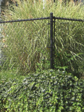 Black Residential Chain Link Fence